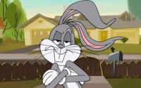 Bugs Bunny Wallpaper