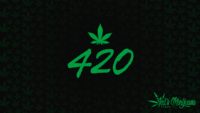 420 Marijuana Wallpaper