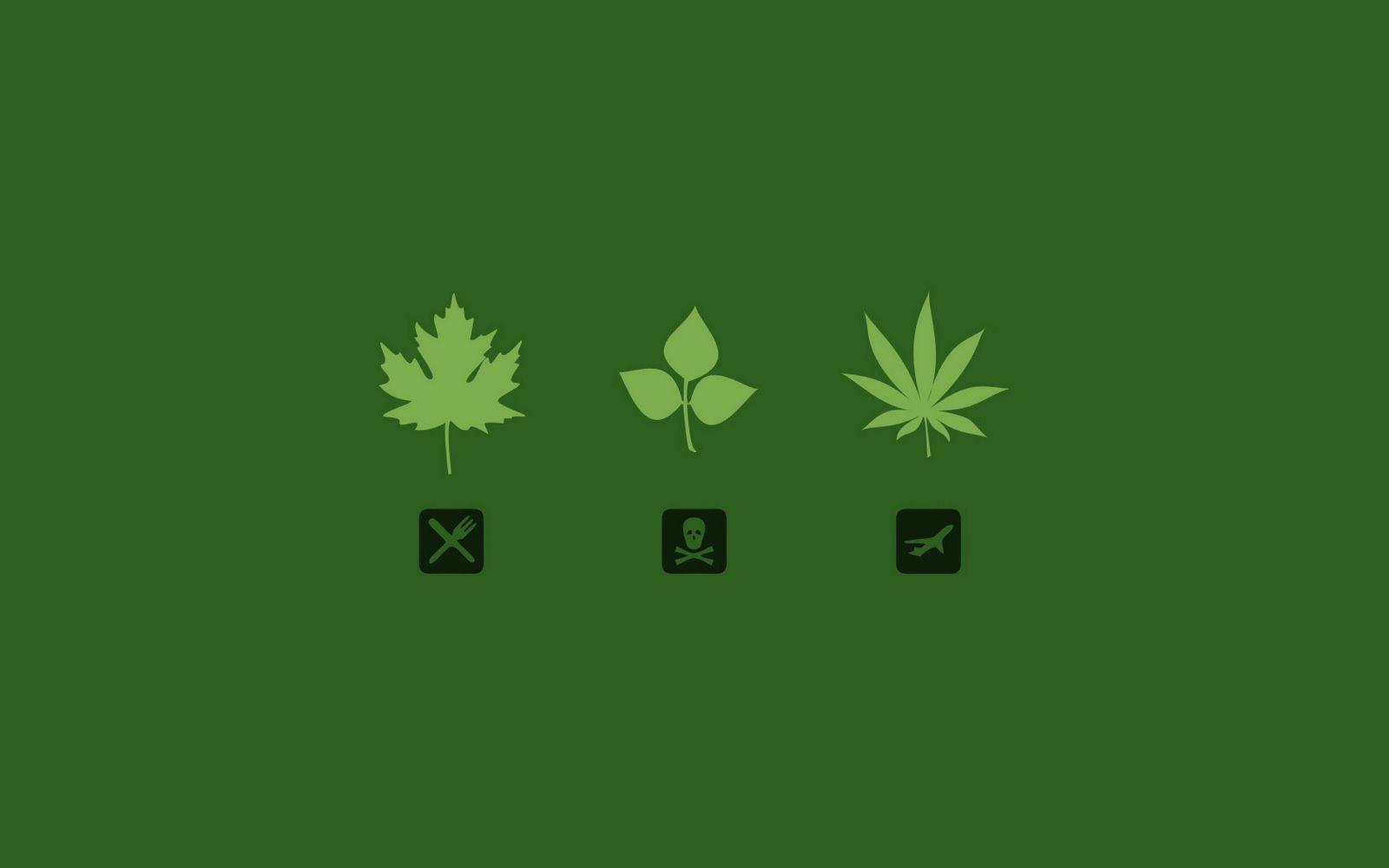 Cannabis Wallpaper Graphic by studioisamu · Creative Fabrica