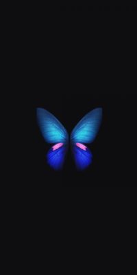 Butterfly Live Wallpaper