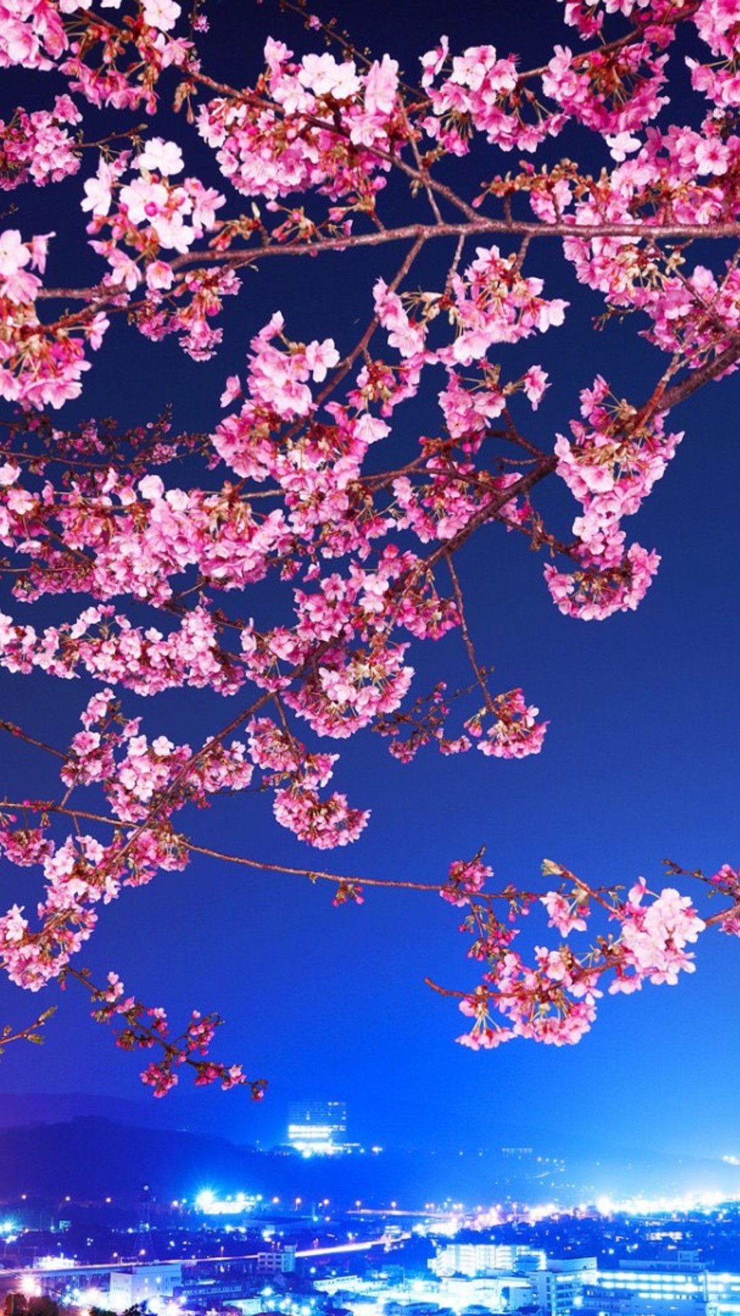 Cherry Blossom Spring Wallpaper Iphone Total Update - roblox tower heroes sakura branch