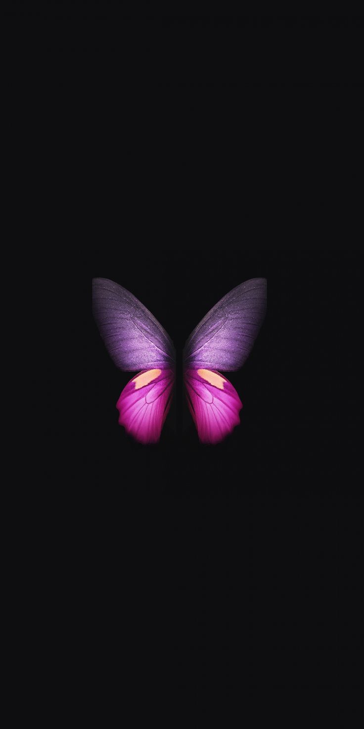 Live Butterfly Background - KoLPaPer - Awesome Free HD Wallpapers