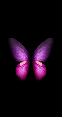 Live Butterfly Wallpaper