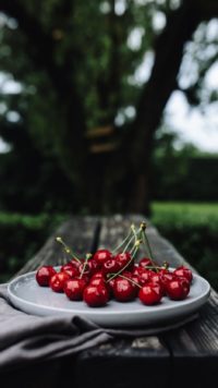 Nature Cherry Wallpaper