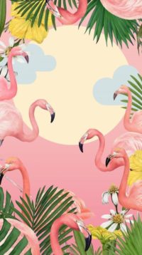 Flamingo Wallpaper