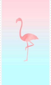 Flamingo Xiaomi Wallpaper