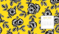 2020 May Calendar Wallpaper