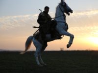 Ertugrul Horse Wallpaper