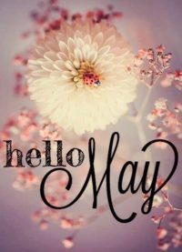 Hello May Background