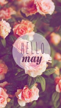 Hello May Iphone Wallpaper