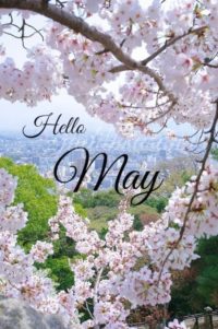 Hello May Wallpaper Iphone