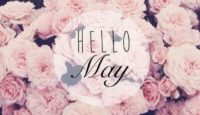 Hello May Wallpaper PC