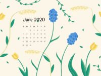 June 2020 Calendars