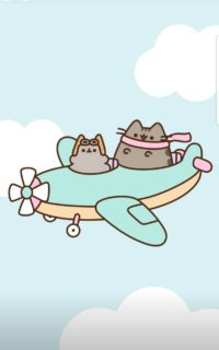 Pilot Pusheen Wallpaper