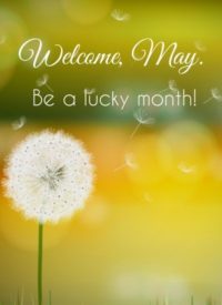 Welcome May Wallpaper 2