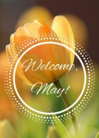 Welcome May Wallpaper