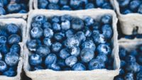 Blueberries HD Wallpaper