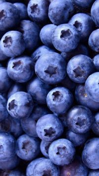 Blueberries Iphone Wallpapers