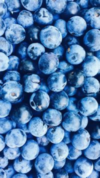 Blueberries Wallpaper Phone