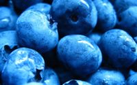 Blueberry Desktop Wallpapers