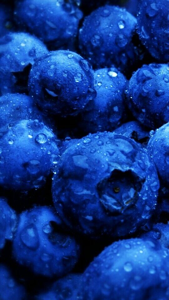 Blueberry Aesthetic Wallpaper