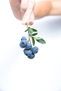 Blueberry Wallpaper Android