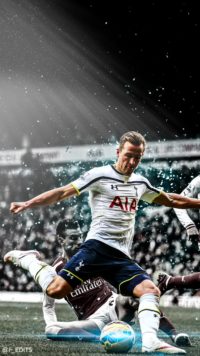 Harry Kane Football Wallpaper