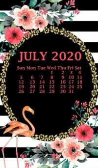 July Calendar Iphone Wallpaper