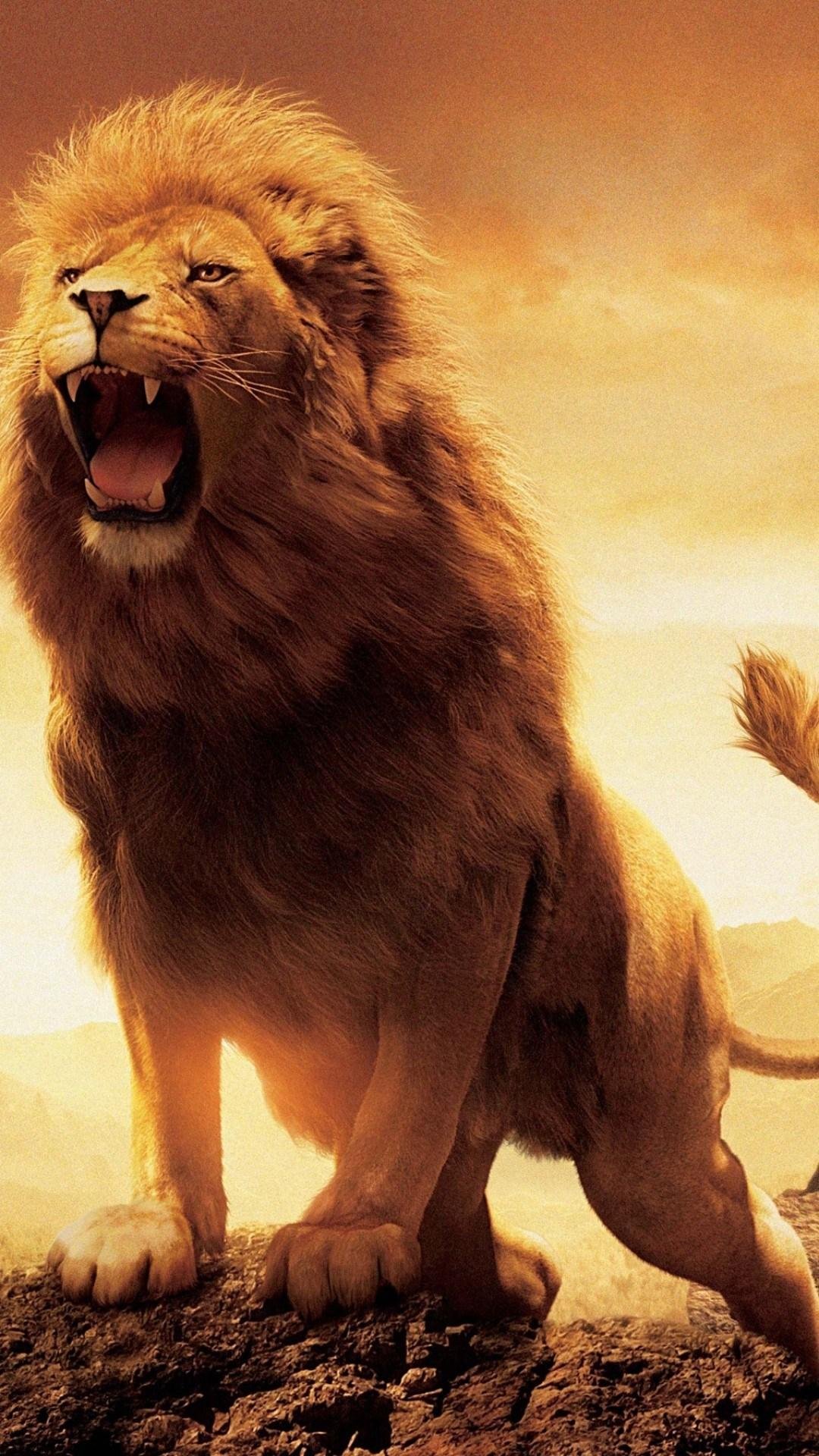 Roaring Male Lion Wallpaper