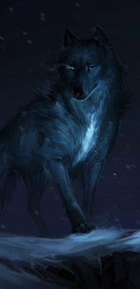 Wolf Iphone Wallpaper 2