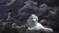 Wolf Landscape Wallpaper