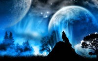 Wolf Night Wallpapers