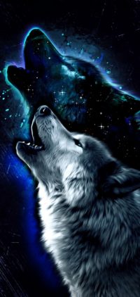 Wolf Wallpaper for Samsung