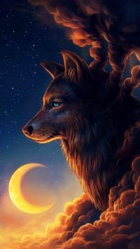 Wolf Wallpapers for Android