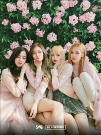 Blackpink Babies Poster