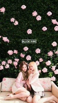 Blackpink Background Iphone