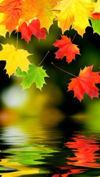 Colorful Fall Wallpaper