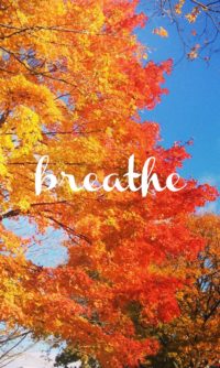 Fall Breathe Wallpaper