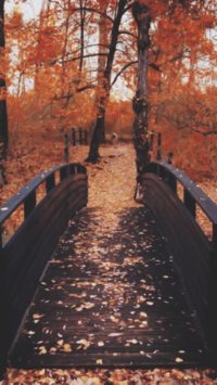 Fall Bridge Wallpaper