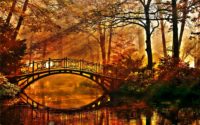 Fall Bridge Wallpapers