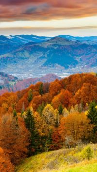 Fall Forest and Mountain Wallpaper