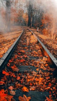 Fall Railway Wallpapers