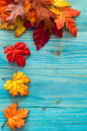 Iphone Autumn Wallpapers - KoLPaPer - Awesome Free HD Wallpapers