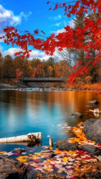 Wooden River Bridge Wallpaper