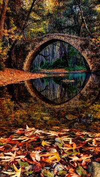 Autumn Bridge Wallpaper