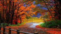 Autumn HD Wallpapers