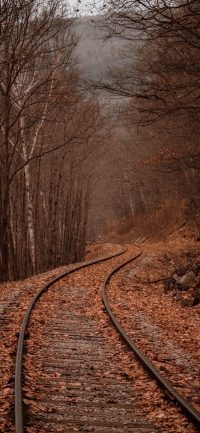 Autumn Railway Wallpaper