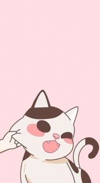 Cute Cat Kawaii Wallpaper