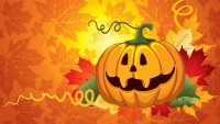 Cute Pumpkin Wallpaper HD