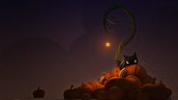 Halloween Cat Wallpapers